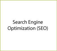 Search Engine Optimization