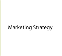 Marketing Strategy